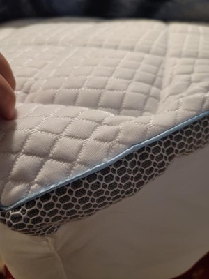 Sealy Full Frost Mattress Pad : Target