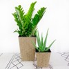XINGHANZHENXUAN 2 Pack Self-Watering Planters, Handwoven Wicker, UV & Frost Resistant, Water Level Indicator - 2 of 4