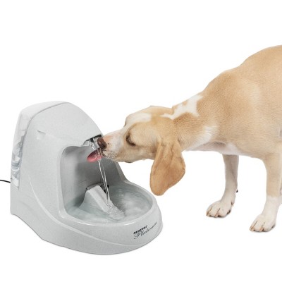 Petsafe Platinum Pet Fountain Target