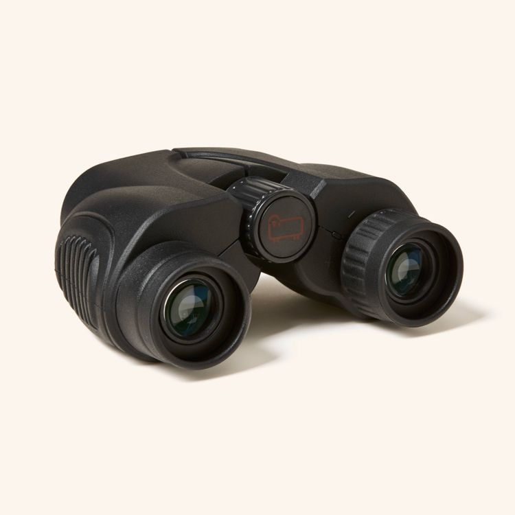Black colored binoculars with textured grips and a central focus wheel.