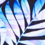 multi blue palm