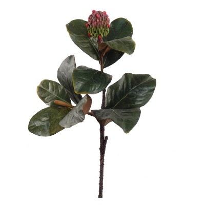 Floral Home 17" Green Magnolia Leaf Pick with Seed Pod - 12-Piece