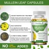 Mulittea Mullein Leaf Capsules Herbal Supplement Supports Respiratory Function Health,120 Count - 2 of 4