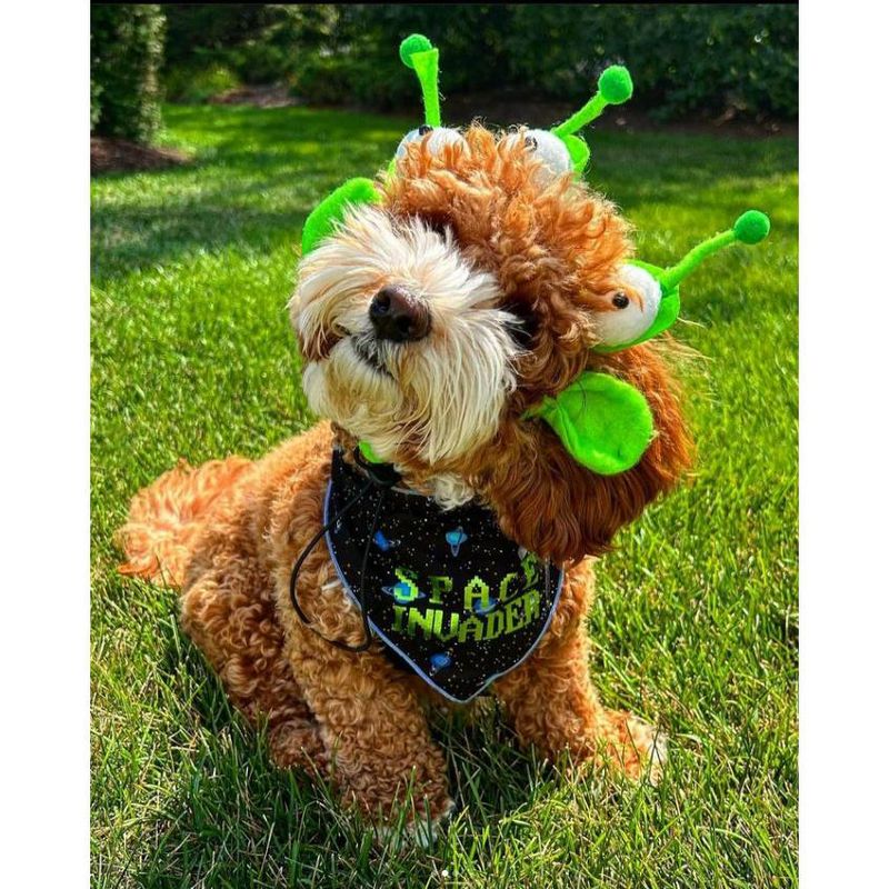 Midlee Alien Dog Headband Costume, 4 of 10