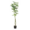 Chery Life 63" Artificial Pachira Plants for Home Decor - 2 of 4