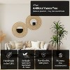 Cypress & Alabaster | Yucca In Growers Pot - 2 of 4