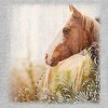 Juniors Womens Lost Gods Horse in Pasture T-Shirt - 2 of 4