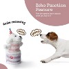 Fuzzwoof Birthday Cake Dog Toy , Dancing with Echo Function Feature, Singing Birthday Songs, Interactive Puppy Toy, Birthday Gift for Dogs - 3 of 4