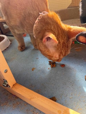 Guest review image 1 of 4, zoom in