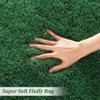 Shag Area Rug Ultra Soft Shaggy Rug Fluffy Shag Rugs for Living Room - 4 of 4