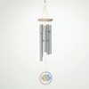 Woodstock Windchimes Coastal Chime Glass, Fish, Wind Chimes For Outside, Wind Chimes For Garden, Patio, and Outdoor Decor, 22"L - 2 of 4