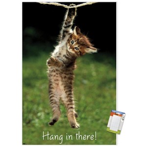 Trends International Famous Kitten Hang In There Poster Unframed Wall Poster Prints - 1 of 4