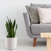 Inspirella 6.5 Inch Timeless Hand Painted Glazed Ceramic Round Indoor Outdoor Succulent Plant Pot with Drainage Hole and Plug - 3 of 4