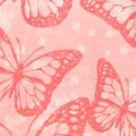 raspberry sorbet ombre butterfly