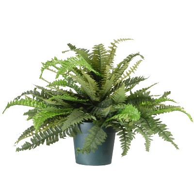 National Tree Company Indoor & Outdoor Plastic Artificial Fern Bush Plant with Decorative Weighted Green Growers Pot, 20 Inches Tall