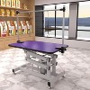 UbMelt 42.5 Inch Hydraulic Pet Grooming Table with Adjustable Height and Noose for Medium/Large Dogs - 2 of 4