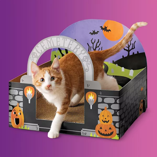 Target cat 2024 halloween house