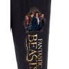 Intimo Fantastic Beasts Men's Newt Scamander And Friends Harry Potter Pajama Pants (LG) Black - image 3 of 3