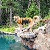 Guardian Gear Aquatic Pet Preserver M Orange - 4 of 4