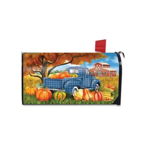 Briarwood Lane Fall Mailbox Cover Standard : Target