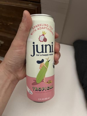 Juni Peach Sparkling Tea Beverage - 12 Fl Oz Can : Target