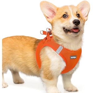 rabbitgoo Small Dog Harness, Step-in Soft Mesh Reflective Pet Harness for Small Medium Dogs, Orange L - 1 of 1