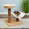 Two by Two Marquette - Beige Scratching Post Cat Furniture - 21.9 in. Tall - 2 of 4
