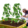 VEVOR Cucumber Trellis for Climbing Plants, 39" x 32" Foldable Cucumber Trellis Set with Twist Ties, Metal Garden Trellis for Raised Bed - 2 of 4
