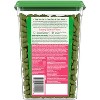 Greenies Savory Salmon Flavor Dental Cat Treats - 2 of 4
