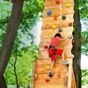 VEVOR 25 Rock Climbing Holds, Multi-Size and Multi-Colored Climbing Rocks for Kids and Adults, Rock Wall Holds with Mounting Hardware - 2 of 4