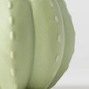 Pumped for Fall Green Live Houseplant - Good Little Garden™ - 2 of 4