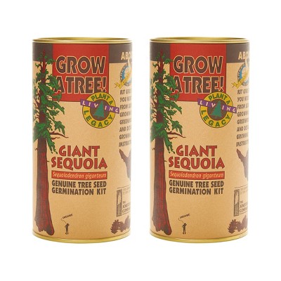 2pk Giant Sequoia Seed Grow Kit - The Jonsteen Company