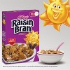 Kellogg's Raisin Bran Breakfast Cereal - image 2 of 4