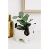 Puppy Dog Planter (Set of 4) - 2 of 3