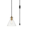 Elegant Lighting Destry 1 Light brass plug-in Pendant With Clear Glass - 3 of 4