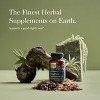 Gaia Herbs SleepThru - Natural Sleep Support Supplement - 3 of 4