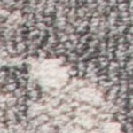 beige/grey