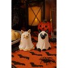 Gallerie II Ghost Cats Halloween Costume Dolomite Salt & Pepper Shakers Set of 2 - 2 of 4