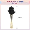 Unique Bargains Decorative Natural Dried Floral Bunny Tail Artificial Plants 120 Pcs - 2 of 4