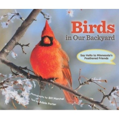 Birds in Our Backyard - by  Adele Porter (Hardcover)