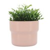 Sagebrook Home Mushroom Planters, Set of Three, 6"Hx7" Diameter, 7"Hx9" Diameter, 9"Hx10" Diameter, Blush Ceramic Finish, Lightweight Design Perfect - 3 of 4