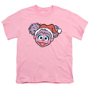 Boys' Sesame Street Christmas Santa Hat Abby Cadabby Face T-Shirt - 1 of 4