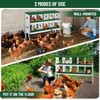 Chicken Nesting Box, Easy Egg Collection, Easy Cleaning, Chicken Laying Boxes for Hens - 4 of 4