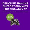 Nature's Way Sambucus Immune Gummies for Kids with Elderberry Vitamin C and Zinc - 60ct - 4 of 4