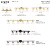 Livex Lighting Neptune 5 - Light Vanity in  Polished Brass - 4 of 4