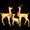 vidaXL Reindeer Family Christmas Decoration Gold 201 LEDs - 3 of 4