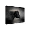 Jai Johnson 'Portrait Of The Black Angus' Multi Panel Art Set Large 3 Piece - 4 of 4