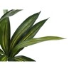 Monarch Specialties Artificial Plant 51 inch Tall Dracaena Tree Indoor Faux Fake Floor Greenery Potted Real Touch Decorative Green Leaves Black Pot - 4 of 4