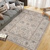 Area Rugs, Washable Rugs Low Piles Indoor Rugs, Vintage Distress Low Pile Washable Carpets for Living Room Bedroom Kitchen Office - 3 of 4