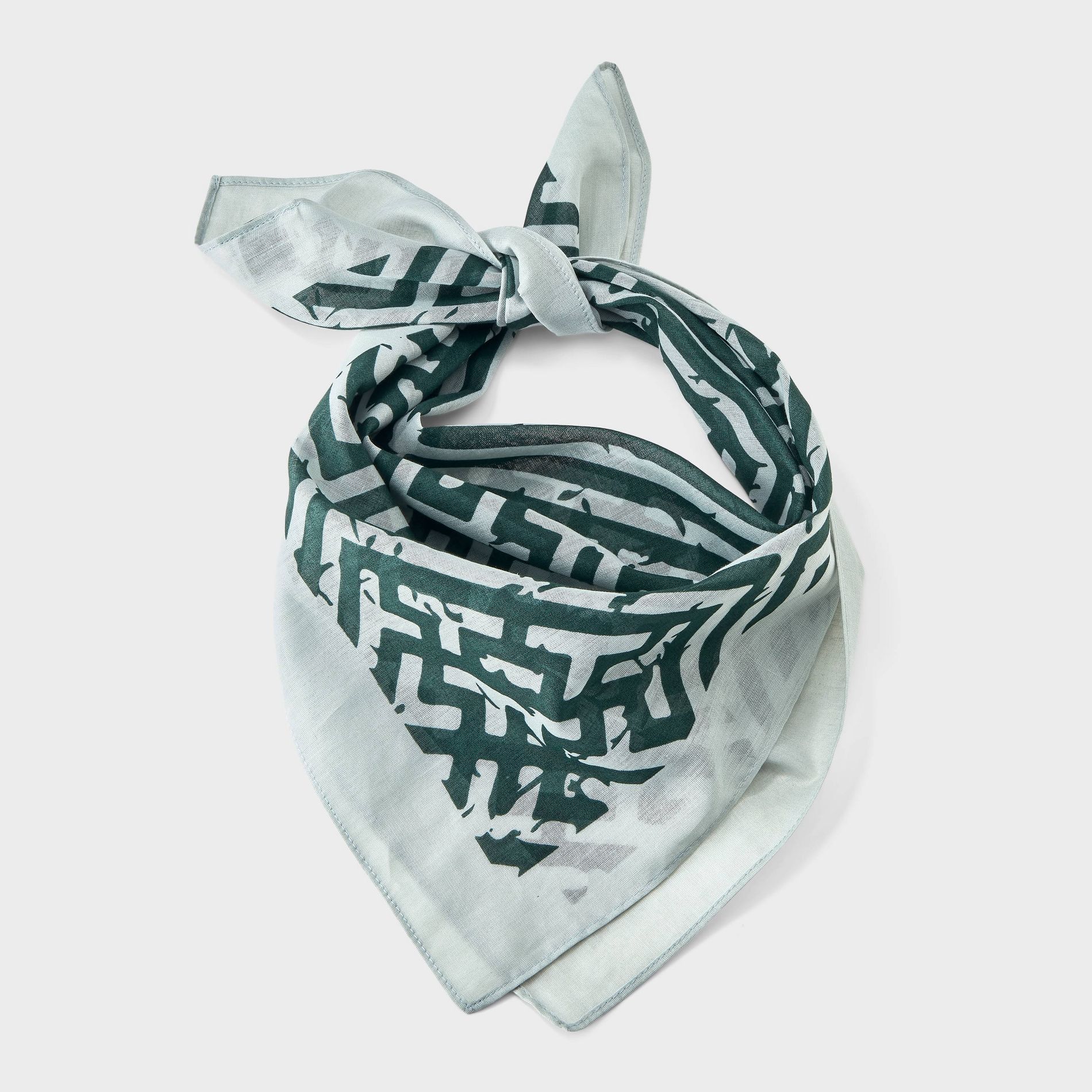 Geometric Lattice Print Scarf - A New Day™ Green